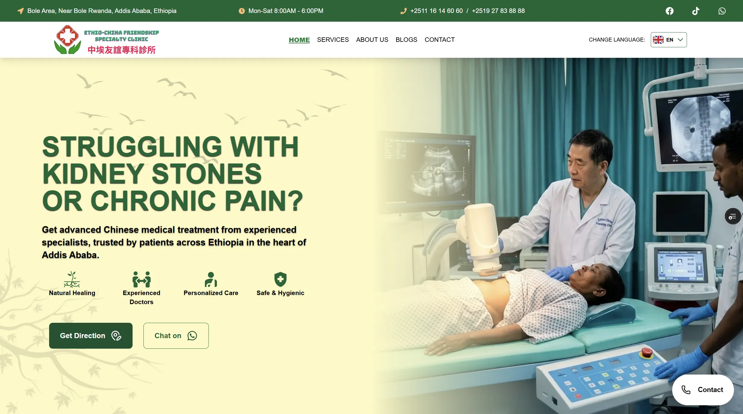 Ethio-China Friendship Specialty Clinic website featuring specialized medical services, multilingual navigation, and digital healthcare solutions
